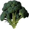 FruitsVegetables_Vegetables_FreshPackBroccoli.png