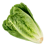 FruitsVegetables_Vegetables_FreshPackLettuce.png