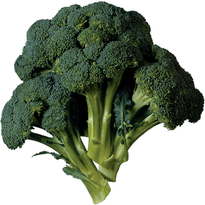 FruitsVegetables_Vegetables_FreshPackBroccoli.png