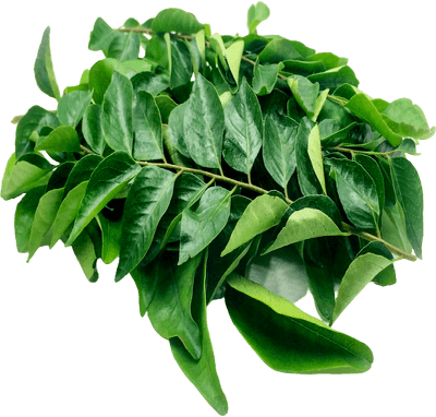FruitsVegetables_Vegetables_FreshPackCurryLeaves.png