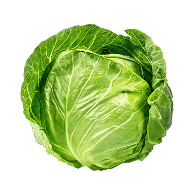 vegitables_cabbage_local_cabbage.png