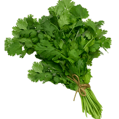 vegitables_coriander_leaves_local_coriander_leaves.png