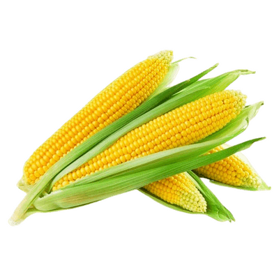 vegitables_sweet_corn_local_sweet_corn.png