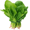vegetables_spinach_local_palak.png 