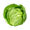 vegitables_cabbage_local_cabbage.png