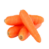 vegitables_carrot_red_local_carrot_red.png
