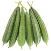 vegitables_ridge_gourd_local_ridge_gourd.png