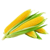 vegitables_sweet_corn_local_sweet_corn.png