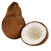 fruits_coconut_local_coconut.png