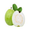 fruits_guava_local_guava.png