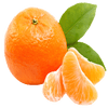 fruits_orange_local_orange.png