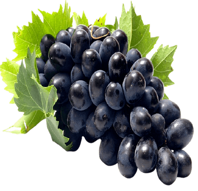 FruitsVegetables_Fruits_FreshPackBlackGrapes.png