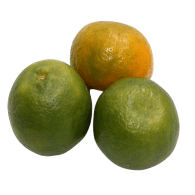 FruitsVegetables_Fruits_FreshPackOrangeIndian.png