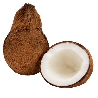fruits_coconut_local_coconut.png