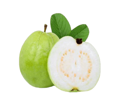 fruits_guava_local_guava.png