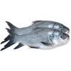 NonVeg_FishSeaFood_FreshPackCatla.png