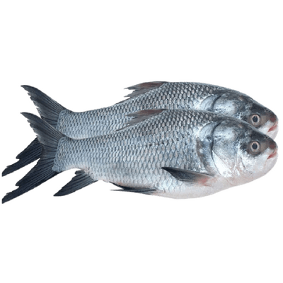 NonVeg_FishSeaFood_FreshPackCatla.png