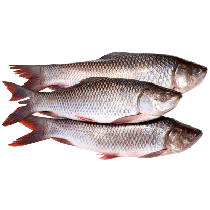 nonveg_fish_local_fish.png