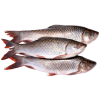 nonveg_fish_local_fish.png