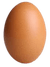 Egg.png